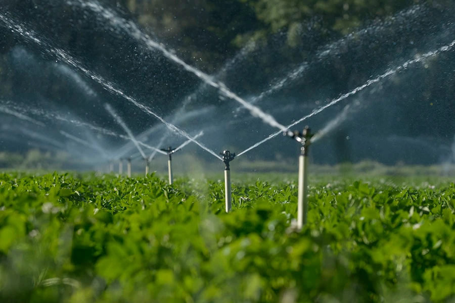 How Lawn Sprinkler Repair Improves Water Distribution in Central Falls, RI